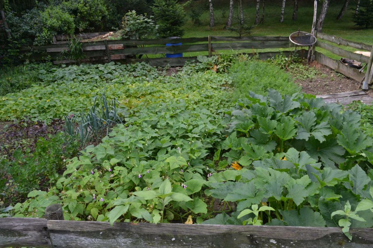 Agroturystyka Teosiowo 포비에드나 외부 사진